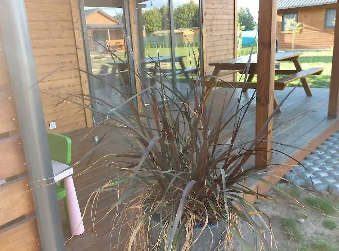 Brzozki Kosewo Kosewo (Slupca)